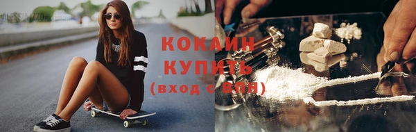 не бодяженный Заводоуковск