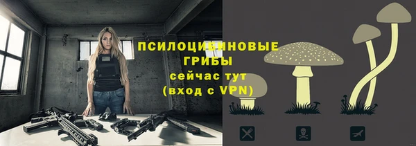 не бодяженный Заводоуковск