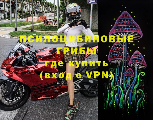 не бодяженный Заводоуковск