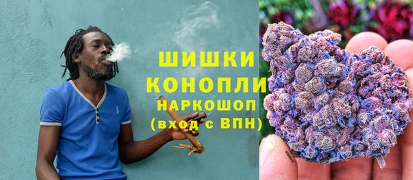 не бодяженный Заводоуковск