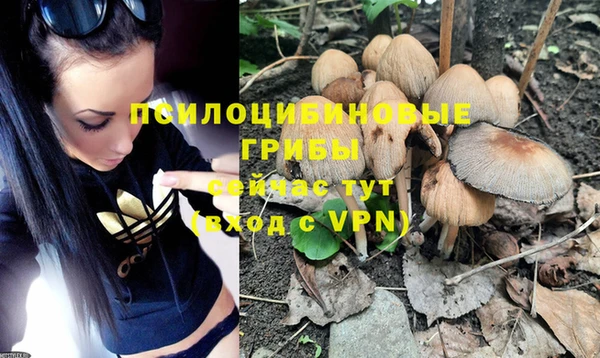 мдпв Заволжье