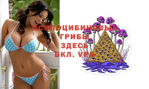 первитин Заволжск